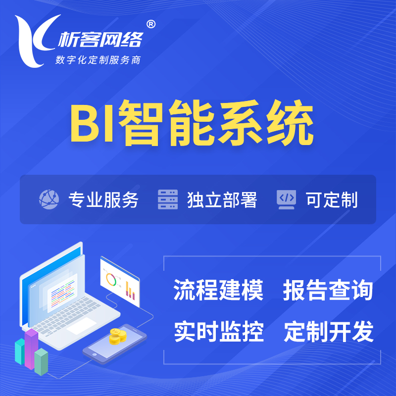 屯昌县BI智能系统 | BI数据可视化